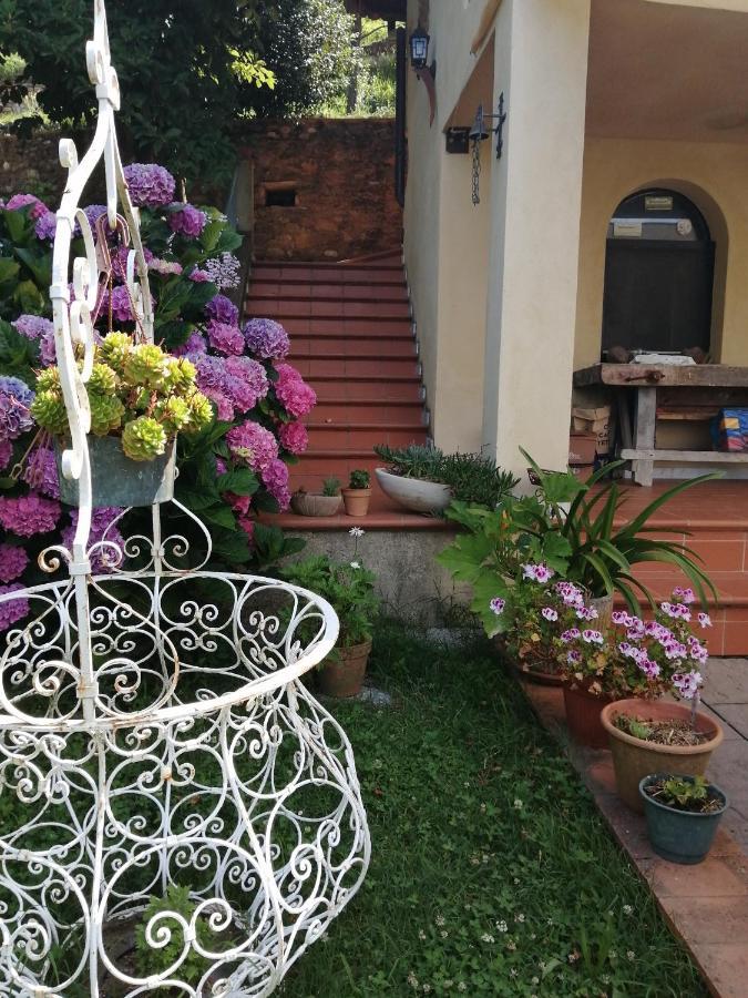 B&B Dal Brillante Серавецца Экстерьер фото